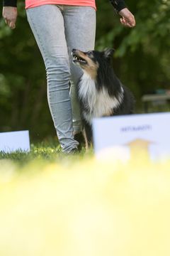 Rally-toko alkeet yhdistelmäkurssi