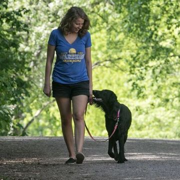 Kiva Koirakansalainen -kurssit