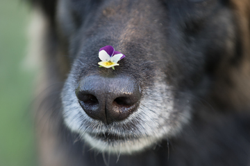 Keskiviikko 12.6.2019